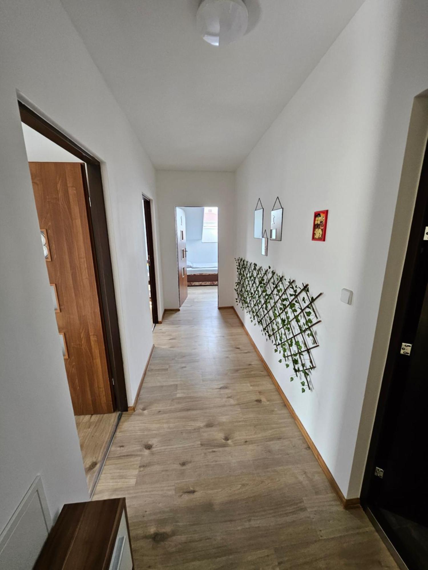 Wohngemeinschaft- Einzelne Zimmer Dresden Exteriör bild
